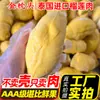 Durian Dourado Grau A Tailandês Carne de Durian Árvore Maduro Durian Congelado Fonte Atacado Uma Peça Dropshipping Sf Não-Mao Shan Wang