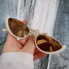 Gafas de sol de estilo europeo y americano con ojo de gato de moda, montura ovalada pequeña de metal, para celebridades de internet, sesión de fotos callejera, gafas de sol versátiles 68273