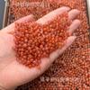 Cuentas de arroz pequeñas de color rojo del sur, flotantes en hielo natural, hechas a mano, para pulseras, collares, espaciadores, cuentas sueltas, mineral crudo, productos semiacabados de color rojo del sur, accesorios