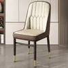 Sillas de Comedor, Sillas para Mesa de Comedor del Hogar, Sillas de Té de Lujo Ligero de Gama Alta, Sillas de Hierro Forjado, Taburetes de Tocador, Sillas de Ocio, Taburetes con Respaldo para Mahjong