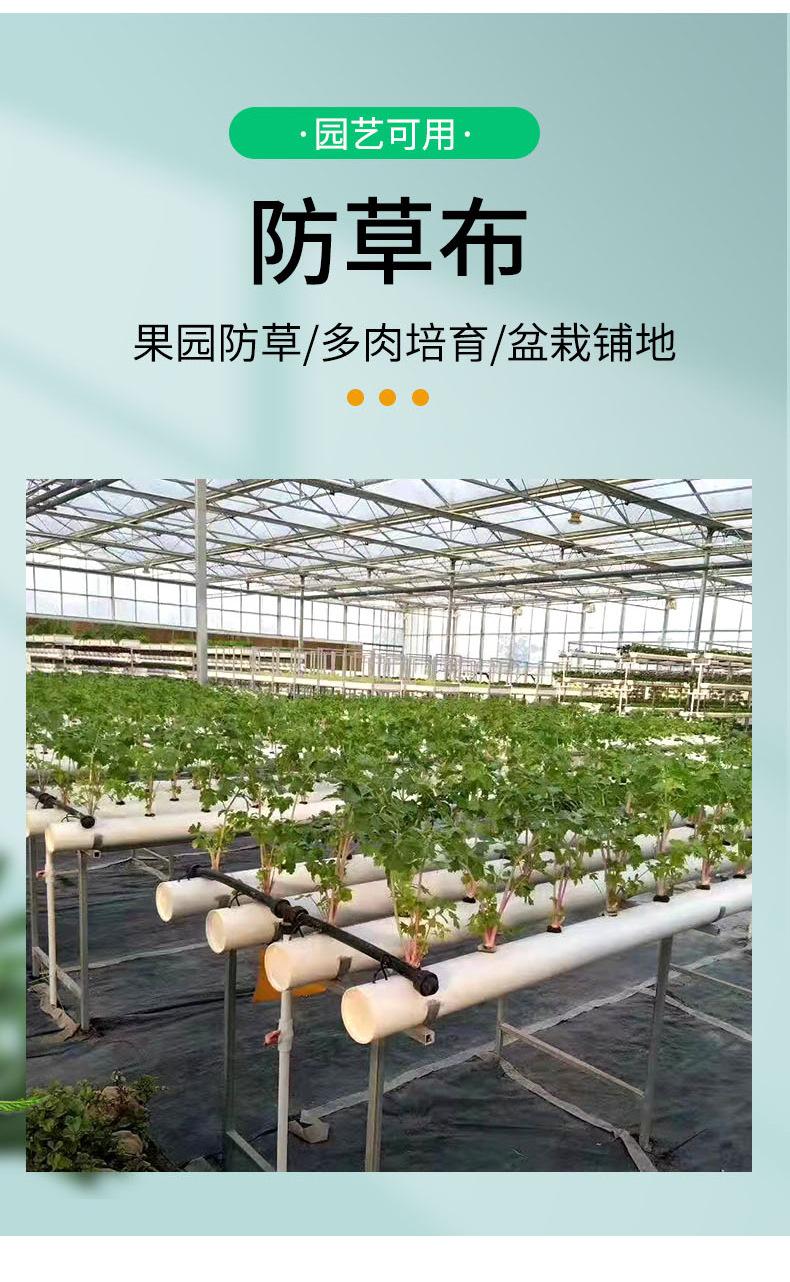防草布_02.jpg