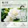 Bolsa de Aromaterapia com Aroma de Osmanthus Fragrância de Longa Duração para Guarda-Roupa Sachê Fresco Guarda-Roupa Roupas Armário de Sapatos Pingente de Carro Aromaterapia