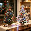 Decorações de Natal, arranjos de cenas em miniatura, árvores de mesa, mini árvores de Natal cobertas de neve, PE atacado