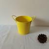 Novo Vaso de Flor de Lata Criativo Multicolorido Porta-Canetas Balde de Batata Frita Balde de Armazenamento para Mesa de Escritório Balde de Armazenamento para Pincéis de Maquiagem Pêndulo