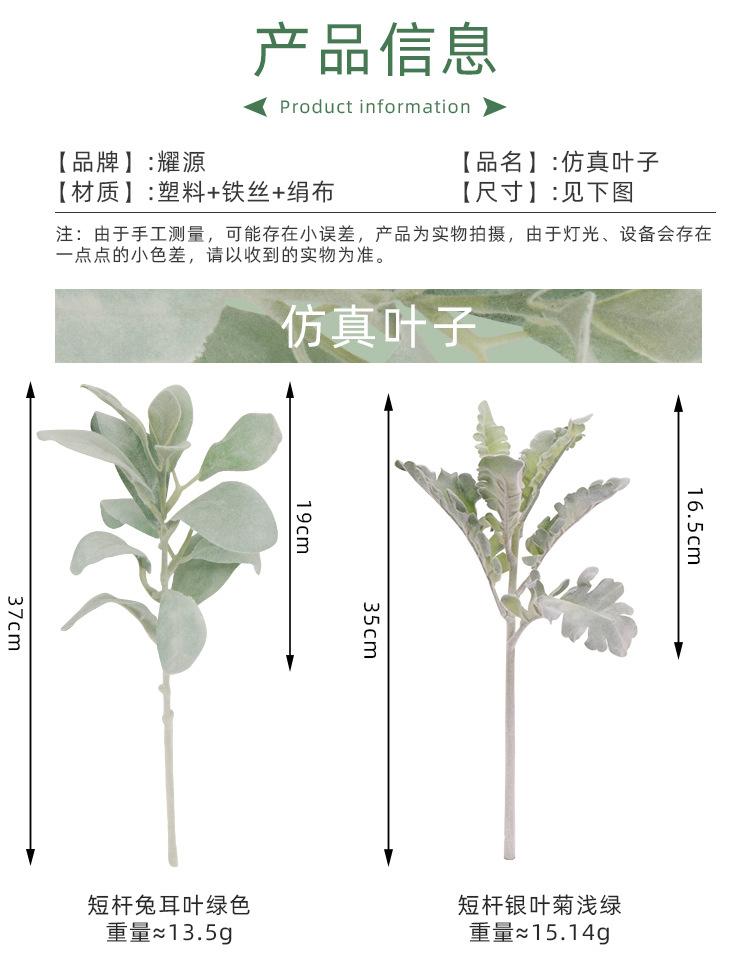 兔儿叶详情页_02.jpg