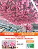 Ramas de flor de cerezo flor de durazno falsa plantas verdes de techo decoración enredaderas de flores de interior pared de celebridad de internet supermercado restaurante habitación cubierta superior fealdad