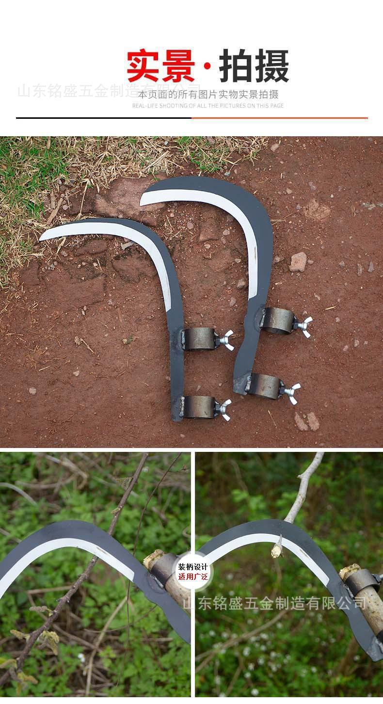 详情-5.jpg?x-oss-process=image/format,png