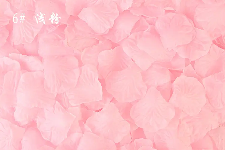 6号浅粉