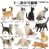 Traje de modelo de gato animal de simulación para niños, juego de gato, gatito, modelo de gatito blanco y negro, juguetes, adornos