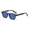 2025 Popular Transfronterizo Ácido Propiónico Pierna Polarizado Gafas Simples Moda Exportación Producto Caliente Patilla Cp Gafas de Sol Gafas de Sol