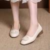 Zapatos de Mujer Cuadrados con Hebilla Estilo Francés 2025 Nuevos Zapatos de Mujer de Tacón Bajo Slip-On Boca Baja Zapatos de Madre Zapatos de Cuero Zapatos de Punta