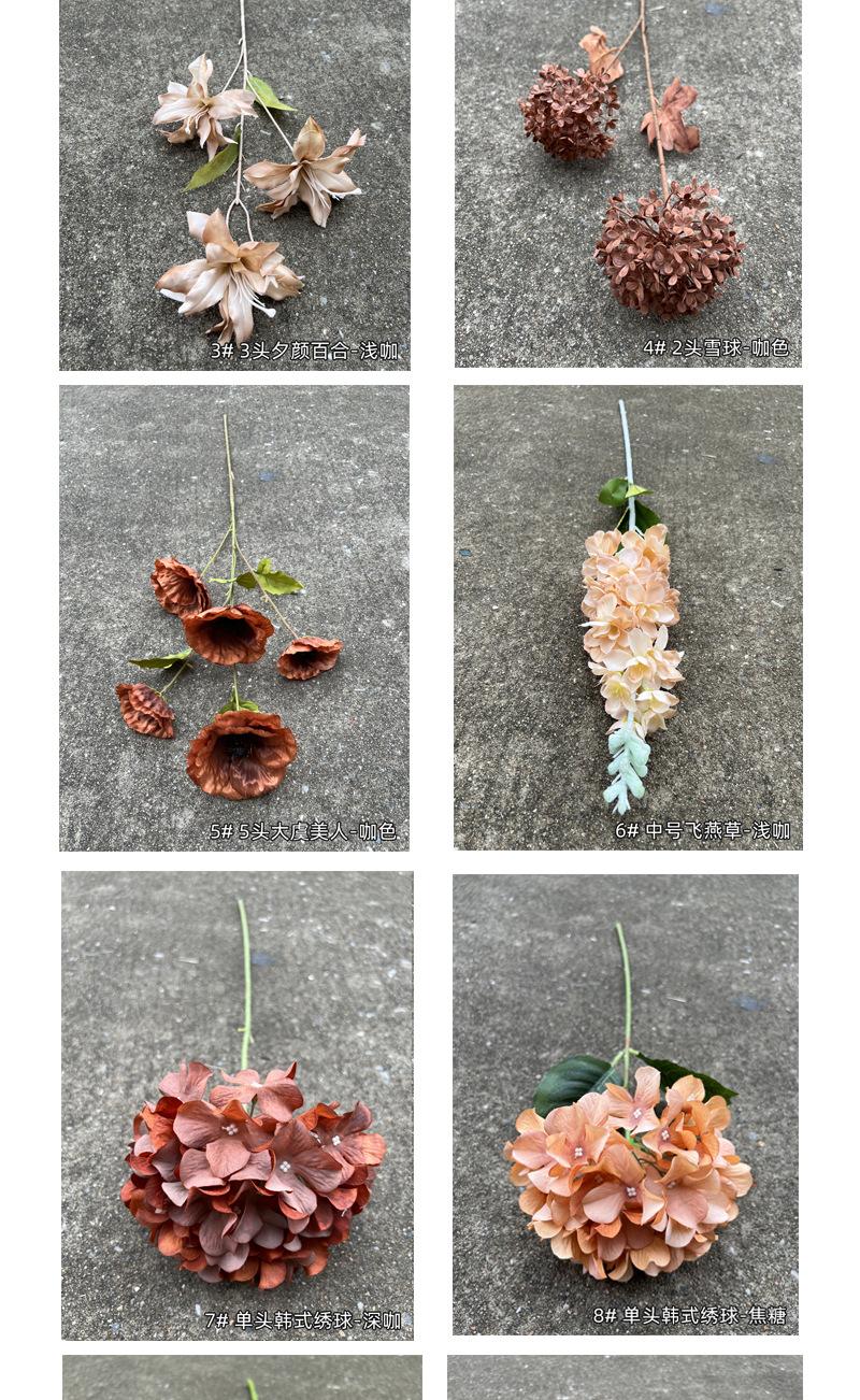 中号飞燕草-详情_07.jpg