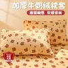 Juego de 2 Fundas de Almohada de Leche Espesa de Invierno 2026 Nueva Funda de Almohada de Coral Fleece 48x74cm Funda de Almohada para Estudiante 2