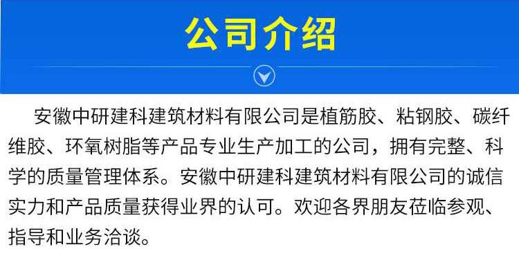 公司介绍