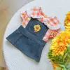 Suministro Directo de Fábrica/Listo para Comercio Exterior Ropa para Mascotas Ropa para Perros y Gatos Linda Moderna Falda de Vaquero de Texas