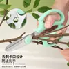 Tesoura Floral de Aço Inoxidável Tesoura de Poda Tesoura Floral Doméstica Tesoura de Jardinagem para Vasos Tesoura para Flores