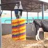 Cepillo Corporal para Vacas, Rodillo Cepillo Totalmente Automático, Cepillo de Nylon Anti-Picazón, Masaje para Vacas, Cepillo de Limpieza para Ganado, Venta al por Mayor por Fabricante