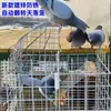 Jaula para Palomas Automática Izquierda y Derecha Volteo Continuo Techo de Jaula para Palomas Balcón Exterior Impermeable a la Lluvia a Prueba de Óxido