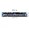 Bandeiras da Temporada de Formatura, Decoração do Local para a Atmosfera da Festa de Formatura, Decorações de Lojas em Shoppings e Enfeites Pendentes