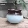 Vaso de Flor Carnuda Cerâmica Jardinagem Cerâmica Mini Novo Criativo Grés Casa Vintage Novo Vaso de Porcelana Vaso