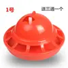 Bebedero Flotante para Pollitos, Cubo para Beber de Cría, Tetera para Beber de Pollitos de Codorniz, Bebedero para Pollos, Bebedero Automático