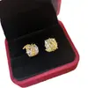 Brincos de Tarraxa Zircônia Espiga de Trigo Levemente Luxuosos Estilo Francês para Mulheres, Design de Nicho Vintage com Sensação de Alto Padrão, Brincos Versáteis para Mulheres