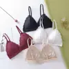 Lencería Sexy de Encaje Francés con Copas Triangulares sin Aros para Pechos Grandes y Pequeños, Espalda Delgada Hermosa en Forma de V