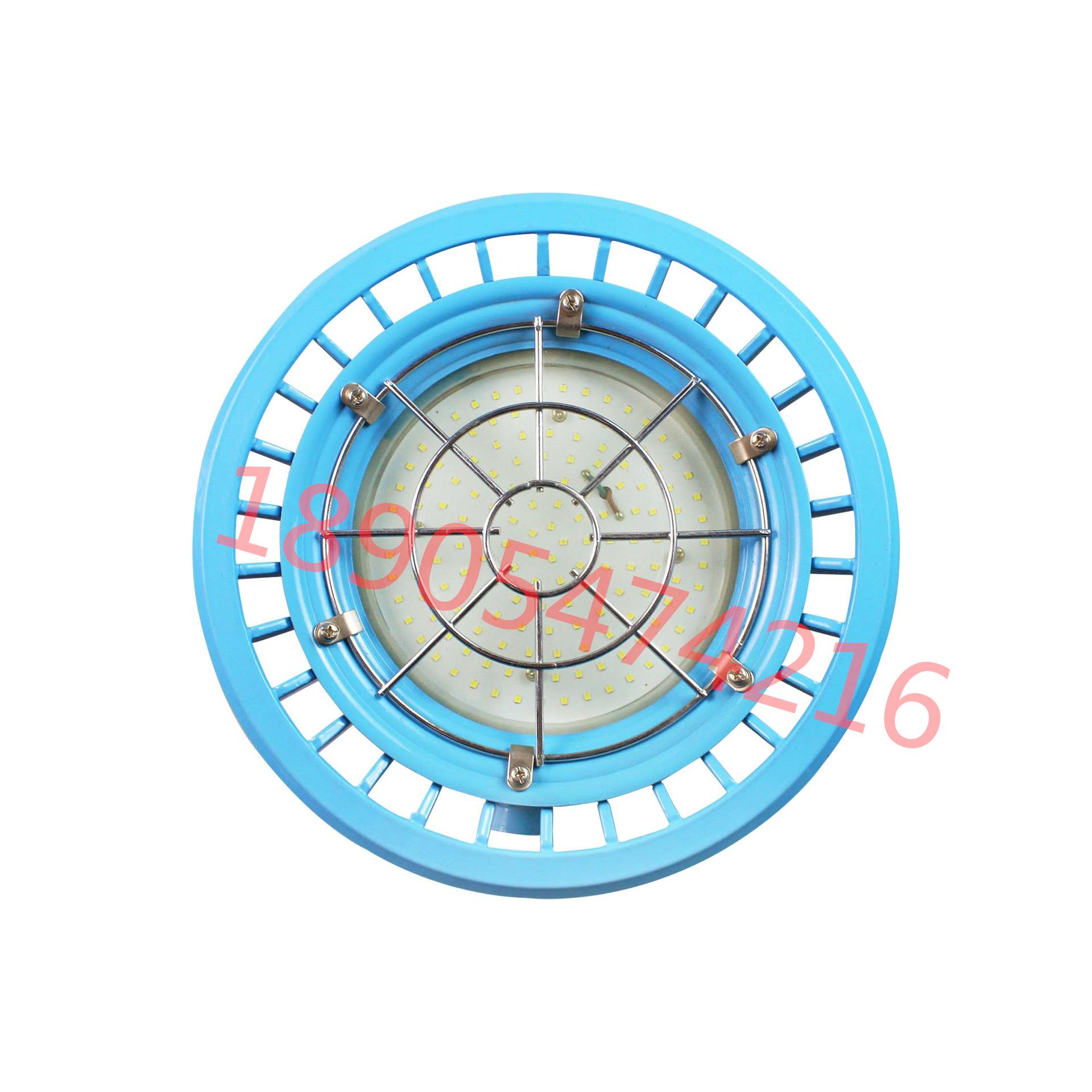 DGS100-127L(A)矿用隔爆型LED照明灯 (2)