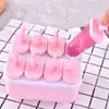 Molde para Helado Molde para Helado para Niños Caja Molde para Paletas Caseras Paleta Casera Cubito de Hielo Sorbete Helado Bandeja para Hielo