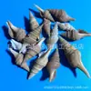 Artesanías de Caracolas Naturales Vendidas por Libra para Acuarios, Fotografía, Educación de Estudiantes y Niños, Minería y Uso Marino