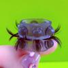 Anillo de ojo de oveja de una sola capa personalizado de fábrica para hombres, anillo para esperma de bloqueo retardado, juego de cuentas de silicona, juguete para parejas entrega directa del fabricante