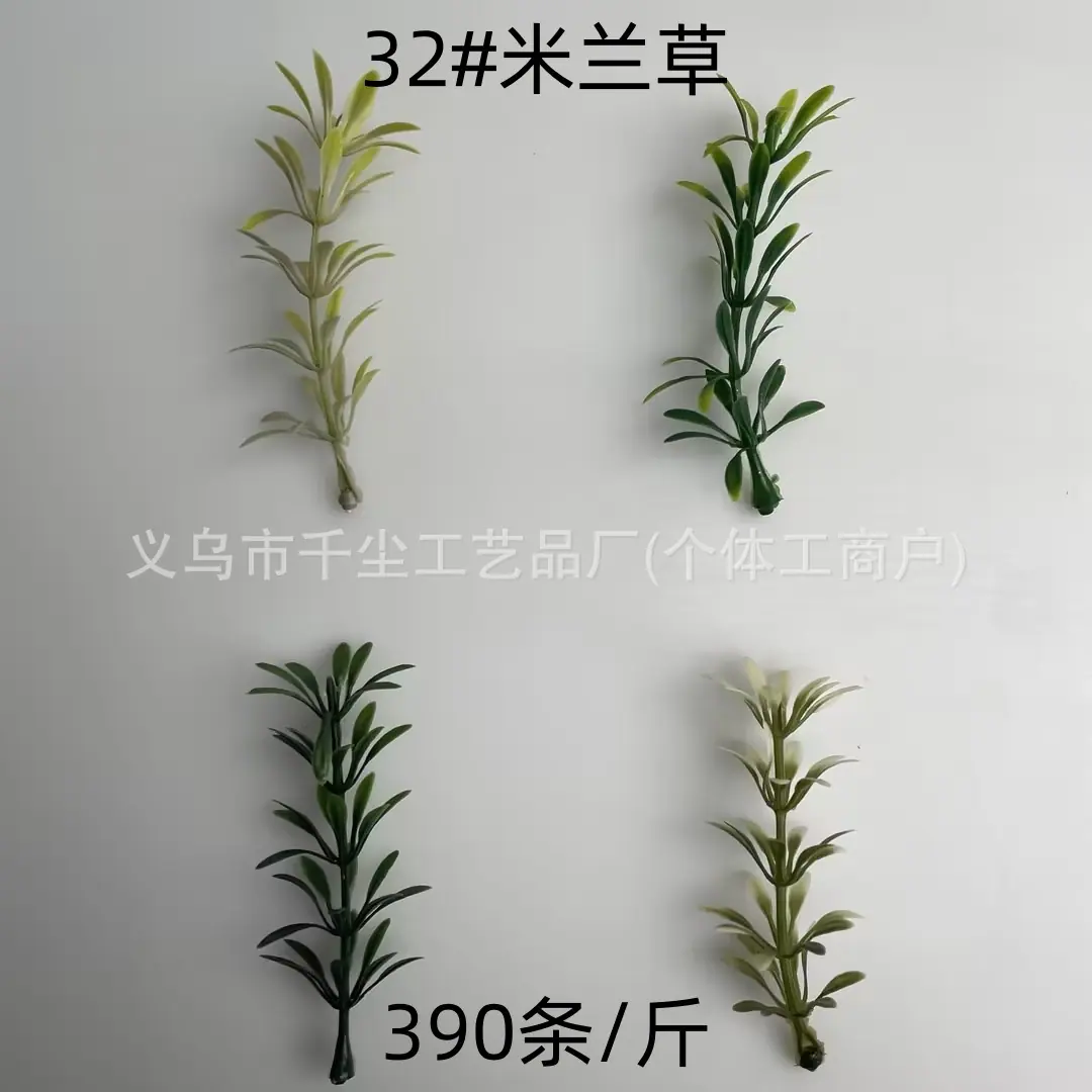 32#米兰草.jpg