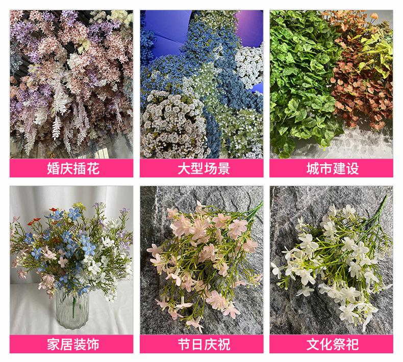 应用场景.jpg