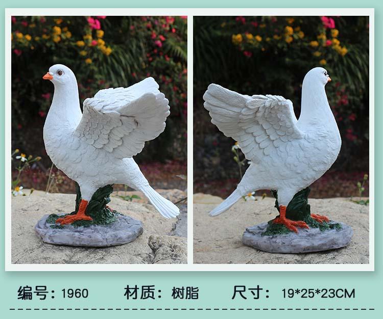 鸽子_08.jpg