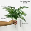 Decoración para el hogar planta verde artificial hoja de helecho persa hoja de helecho riñón planta césped verde sensación accesorios para fotografía exterior Floricultura