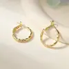 Brincos Novos Transfronteiriços, Brincos Argola Lisos, Brincos de Nicho Estilo Diário Levemente Luxuoso e de Alta Qualidade, Brincos Simples, Modernos e Personalizados