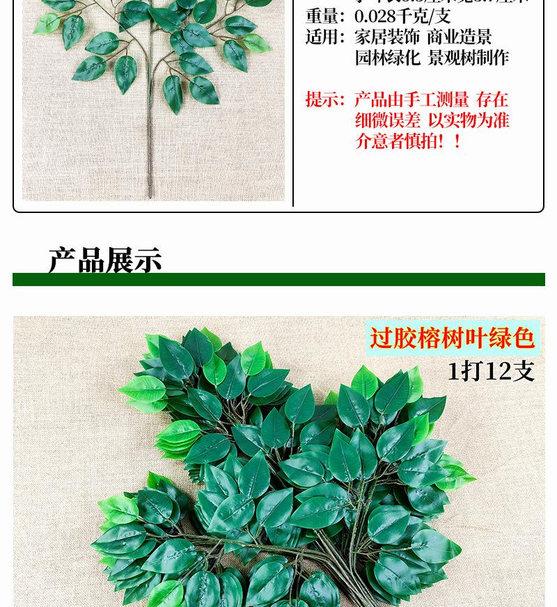 榕树叶_05.jpg