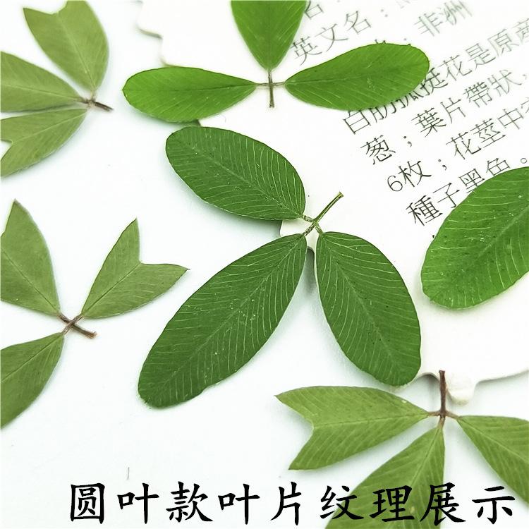 IMG20190113155620