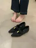 Sapatos Baixos Estilo Coreano Bico Fino Lã Fivela de Metal Tira em T Boca Rasa para Mulheres 2025 Novo Outono Aumento Interno Sapatos Mary Jane