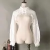 Novo Estilo Gola Falsa Renda Gola Falsa Feminina Gola de Camisa Estilo Coreano Gola Decorativa de Renda Gola de Suéter Outono e Inverno