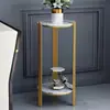 Rack de Flores para Sala de Estar Moderno e Simples Suporte de Vasos de Flores para Varanda de Chão Rack de Flores de Ferro Simples de Camada Dupla