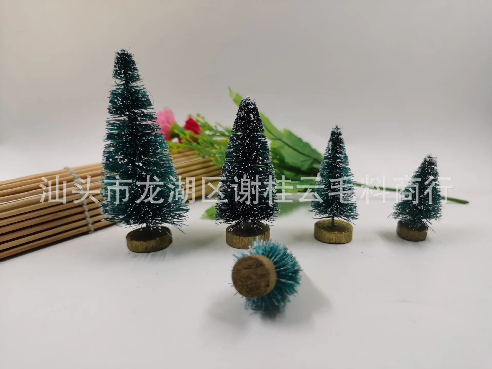 IMG_20210107_120347
