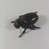 Escarabajo de pelea simulado creativo de cuerda transfronterizo, modelo de insecto unicornio, juguete educativo de observación para niños