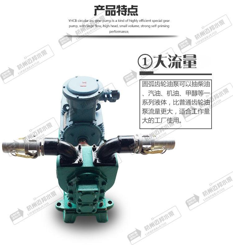 圆弧齿轮油泵详情页广告法.jpg