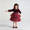 Vestidos Infantis Europeus e Americanos de Manga Longa 2026 Outono e Primavera Novo Vestido de Veludo para Menina Moda Vestido de Princesa para Bebê