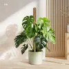Poste Trepador Pothos Poste Trepador Pothos Soporte Fijo para Planta Soporte Fijo de Palo de Fibra de Coco Soporte de Flor con Forma