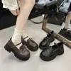 Zapatos Pequeños de Cuero Cómodos de Diseñador Único para Mujer, Estilo Japonés, Adecuados con Vestidos, Zapatos Mary Jane para Mujer, Nuevo Modelo Primavera/Verano 2025