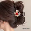 Pinza para el Cabello Grande Color Café Estilo Coreano para Cabello Grueso, Pinza de Tiburón Completa para la Parte Posterior de la Cabeza, Pinza de Lujo de Alta Gama al por Mayor