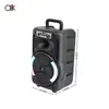 O8K Nuevo Modelo Ok-8105W Altavoz Portátil de 8 Pulgadas con Micrófono Inalámbrico, Altavoz Cuadrado RGB para Baile al Aire Libre y Karaoke para Cantantes