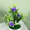 Flor Artificial Simulada en Maceta 5 Lotos Pequeños Bonsái Pequeño Simulado Adornos de Escritorio Tienda de Dos Yuanes Artículos Creativos Fuente de Artículos